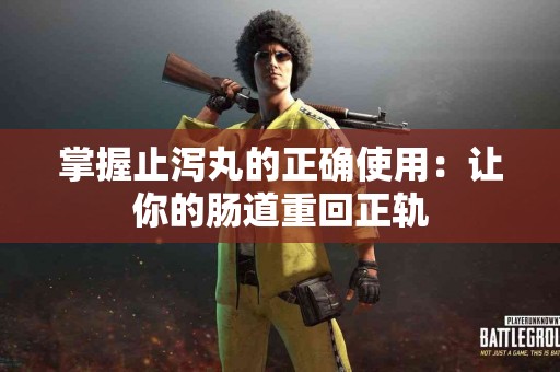 掌握止泻丸的正确使用：让你的肠道重回正轨