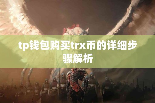 tp钱包购买trx币的详细步骤解析