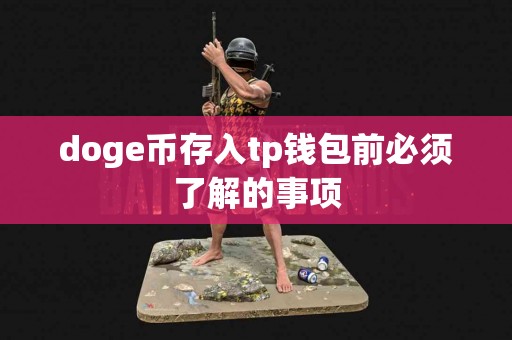 doge币存入tp钱包前必须了解的事项