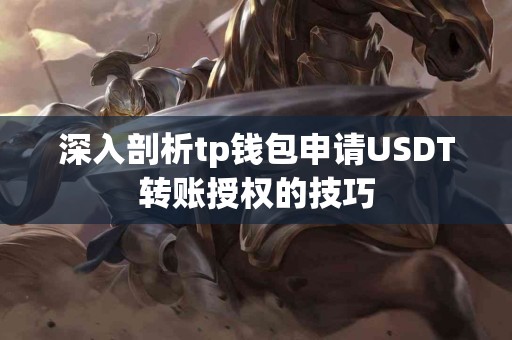 深入剖析tp钱包申请USDT转账授权的技巧