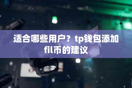 适合哪些用户？tp钱包添加fil币的建议