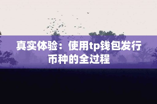 真实体验：使用tp钱包发行币种的全过程