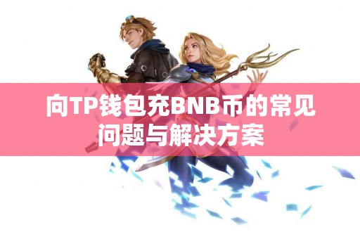 向TP钱包充BNB币的常见问题与解决方案