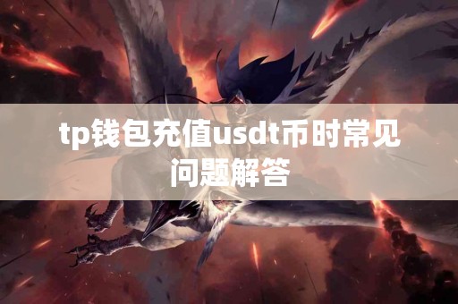 tp钱包充值usdt币时常见问题解答