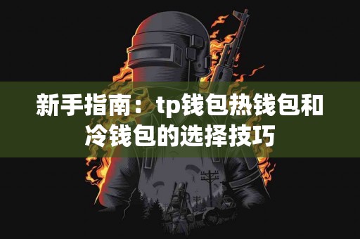 新手指南：tp钱包热钱包和冷钱包的选择技巧