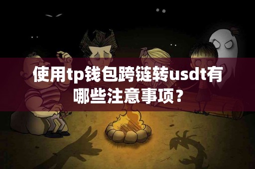 使用tp钱包跨链转usdt有哪些注意事项？