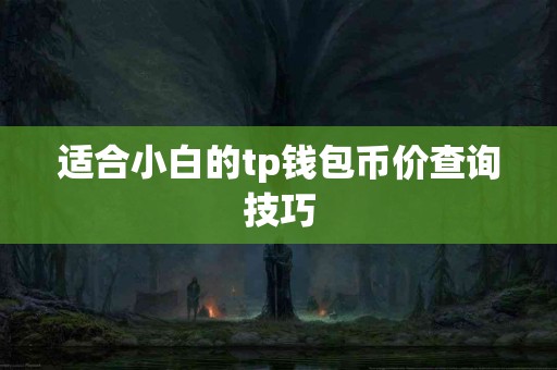 适合小白的tp钱包币价查询技巧