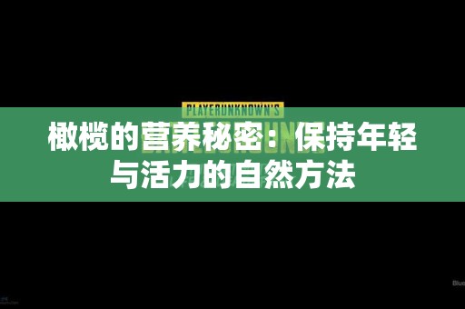 橄榄的营养秘密：保持年轻与活力的自然方法