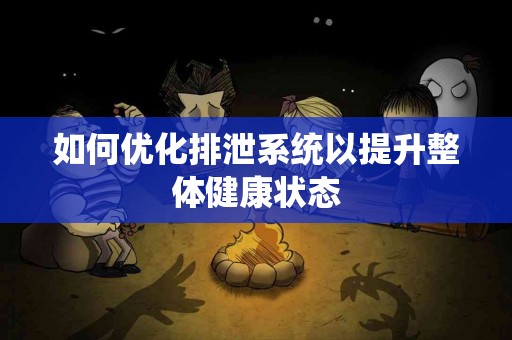 如何优化排泄系统以提升整体健康状态