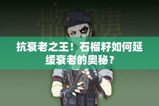 抗衰老之王！石榴籽如何延缓衰老的奥秘？