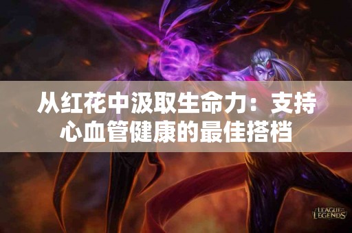 从红花中汲取生命力：支持心血管健康的最佳搭档
