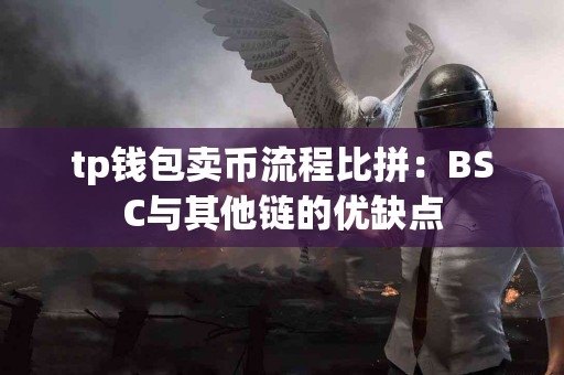 tp钱包卖币流程比拼：BSC与其他链的优缺点