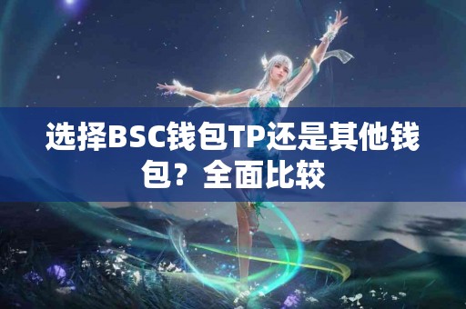 选择BSC钱包TP还是其他钱包？全面比较