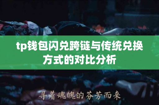 tp钱包闪兑跨链与传统兑换方式的对比分析