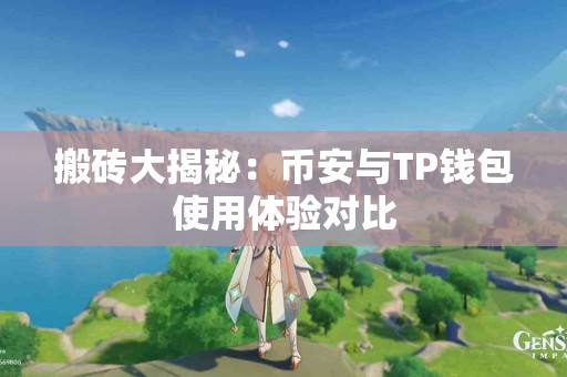 搬砖大揭秘：币安与TP钱包使用体验对比