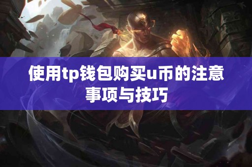 使用tp钱包购买u币的注意事项与技巧