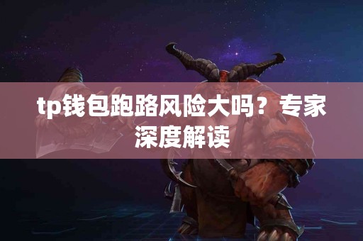 tp钱包跑路风险大吗？专家深度解读