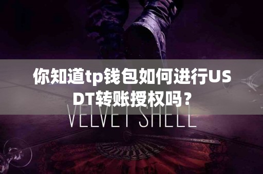 你知道tp钱包如何进行USDT转账授权吗？