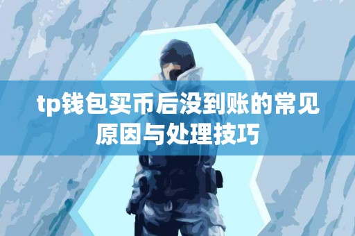 tp钱包买币后没到账的常见原因与处理技巧