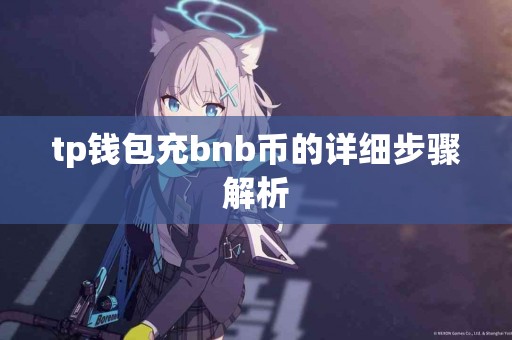 tp钱包充bnb币的详细步骤解析