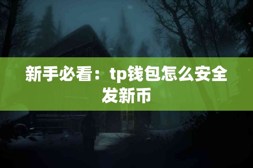 新手必看：tp钱包怎么安全发新币