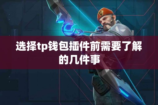 选择tp钱包插件前需要了解的几件事