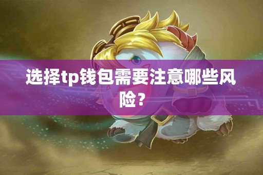 选择tp钱包需要注意哪些风险？
