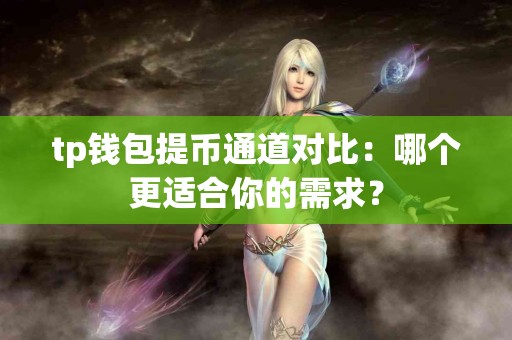 tp钱包提币通道对比：哪个更适合你的需求？