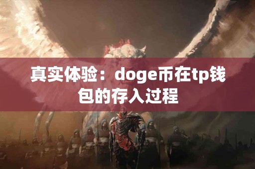 真实体验：doge币在tp钱包的存入过程
