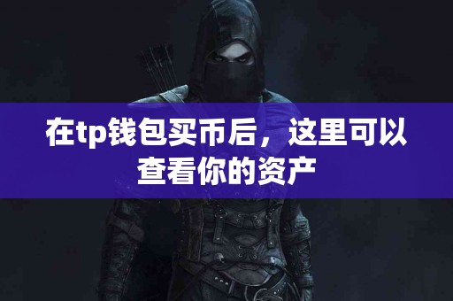 在tp钱包买币后，这里可以查看你的资产
