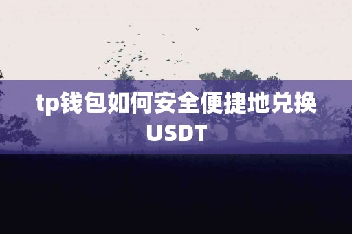 tp钱包如何安全便捷地兑换USDT