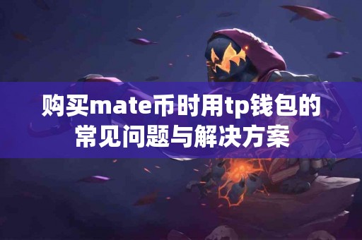 购买mate币时用tp钱包的常见问题与解决方案