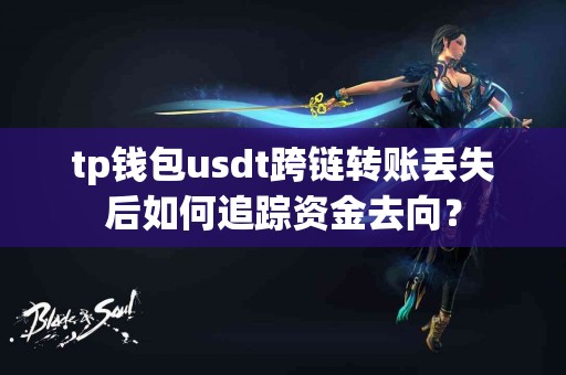 tp钱包usdt跨链转账丢失后如何追踪资金去向？