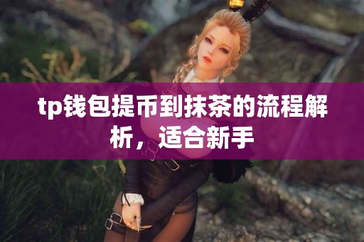 tp钱包提币到抹茶的流程解析，适合新手