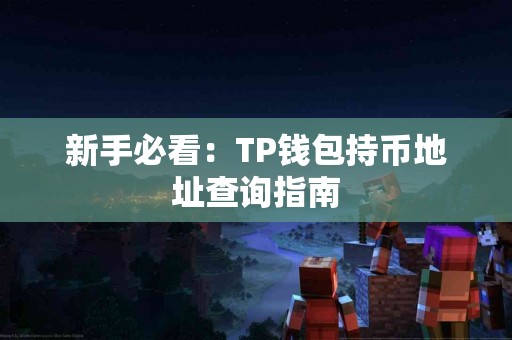 新手必看：TP钱包持币地址查询指南