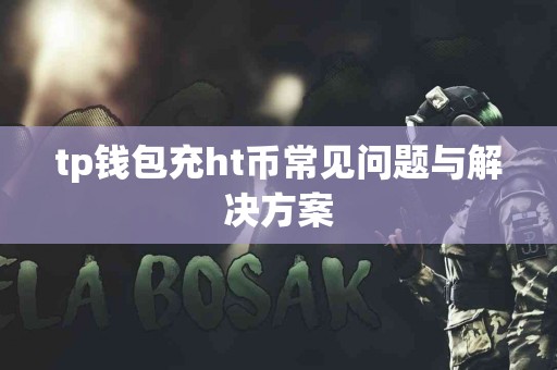tp钱包充ht币常见问题与解决方案