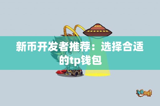 新币开发者推荐：选择合适的tp钱包