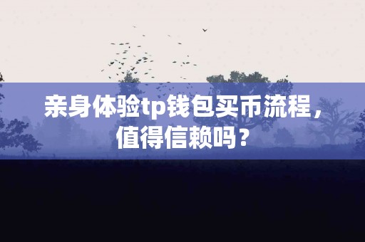 亲身体验tp钱包买币流程，值得信赖吗？