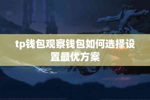 tp钱包观察钱包如何选择设置最优方案