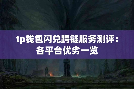 tp钱包闪兑跨链服务测评：各平台优劣一览