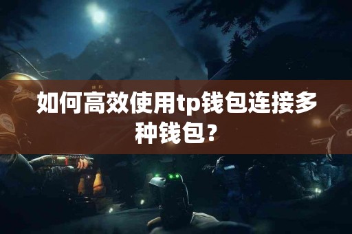 如何高效使用tp钱包连接多种钱包？
