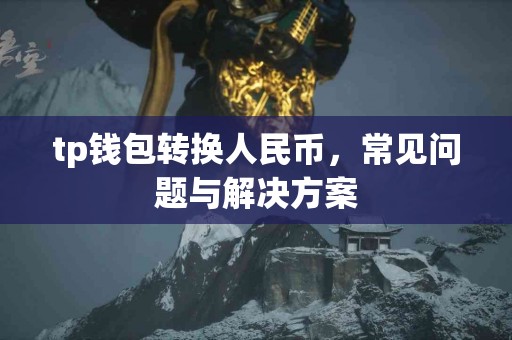tp钱包转换人民币，常见问题与解决方案