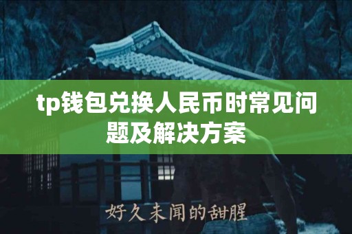 tp钱包兑换人民币时常见问题及解决方案