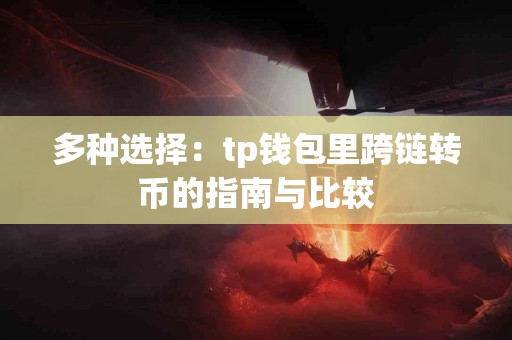 多种选择：tp钱包里跨链转币的指南与比较