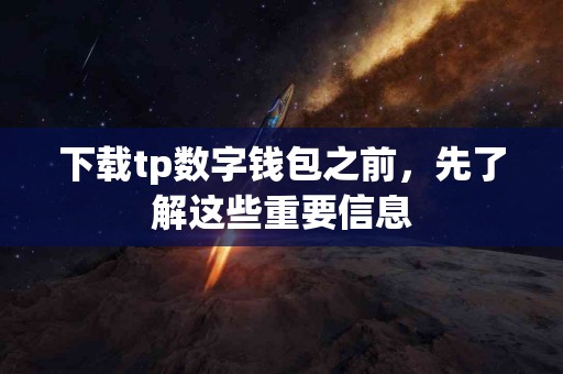 下载tp数字钱包之前，先了解这些重要信息