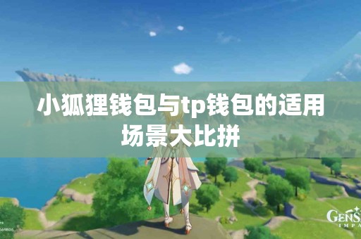 小狐狸钱包与tp钱包的适用场景大比拼