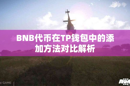 BNB代币在TP钱包中的添加方法对比解析