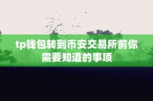 tp钱包转到币安交易所前你需要知道的事项