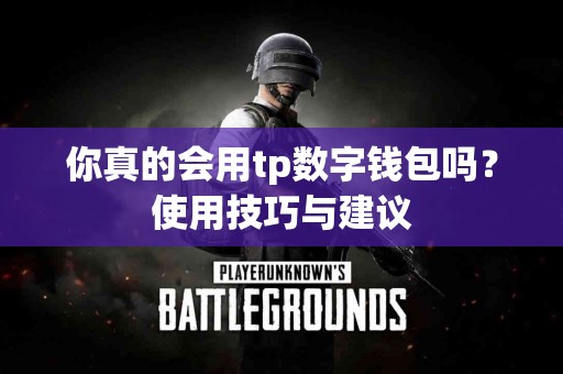 你真的会用tp数字钱包吗？使用技巧与建议