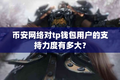 币安网络对tp钱包用户的支持力度有多大？